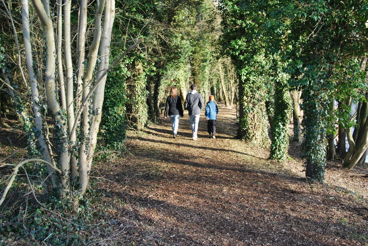Behandelmethode in de praktijk